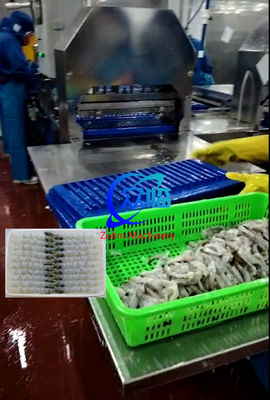 좋은 가격 100 pcs 트레이 자동 NOBASHI 기계와 템푸라 새우 스트레칭 기계 온라인으로
