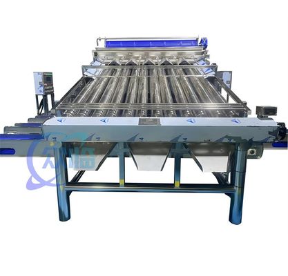 좋은 가격 4900W SUS304 새우 분류 기계, 내구성있는 새우 세척 분류 기계 온라인으로