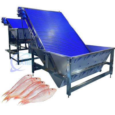 산화 방지 새우 분류 기계 멀티스케인 실용적인 4.9KW