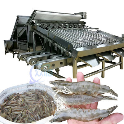 좋은 가격 1500KG 생선 새우 분류 기계 산업용 다목적 온라인으로