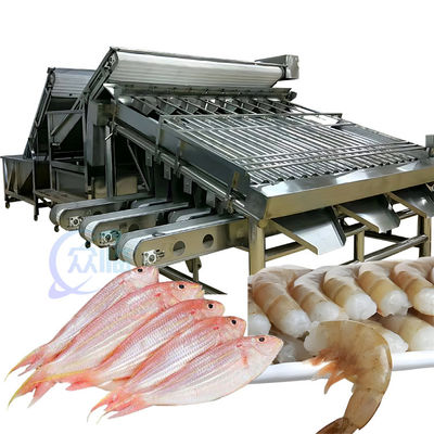 좋은 가격 ISO 1500KG 해산물 분류 기계, 다기능 물고기 크기 분류기 온라인으로