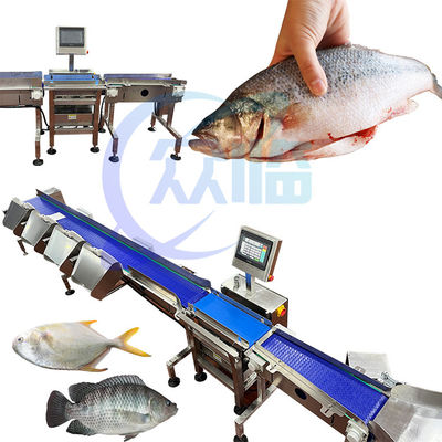 좋은 가격 상업용 생선 크기 기계 단일 무게 범위 1g-3g Pangasius 등급 온라인으로