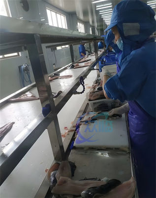 좋은 가격 직업적인 스테인리스 304 틸라피아 가죽을 벗기는 기계 0.75KW 틸라피아 껍질을 벗김 기계 온라인으로