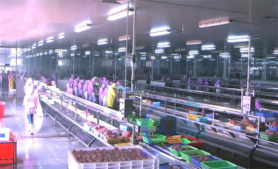 좋은 가격 3.03KW 생선 가공 생산 라인 조립 플랫폼 생선 절제 생산 라인 테이블 온라인으로