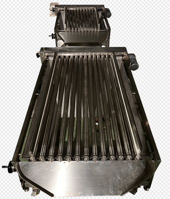 좋은 가격 4 모델 자동 물고기 분류 기계와 높은 안정성 작은 물고기의 크기를 온라인