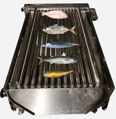 좋은 가격 자동으로 작은 물고기를 분류하기 위해 고품질 PLC 제어 생선 분류 라인 온라인