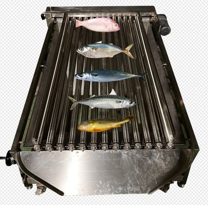 좋은 가격 많은 종류의 바다 물고기를 분류하기 위한 고속 자동 생선 크기 기계 온라인으로