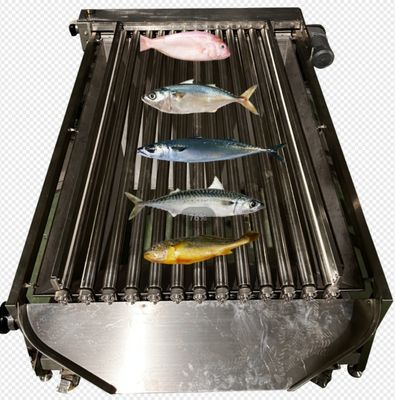 좋은 가격 용량 5-10T / H 물고기의 자동 분류 기계, 작은 물고기의 크기와 분류 바다 온라인으로