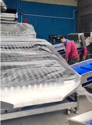 좋은 가격 대용량을 위한 Customed Ocean Fish Grader 및 물고기 분류 장비는 가능합니다. 온라인으로