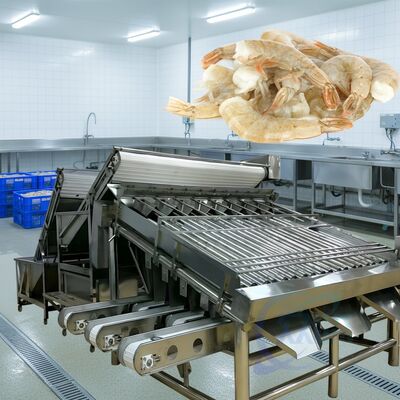 좋은 가격 내구성 롤러 새우 분류 기계 1500kg-2000kg/H 롤러 새우 분류기 높은 안정적인 롤러 새우 크기 기계 온라인