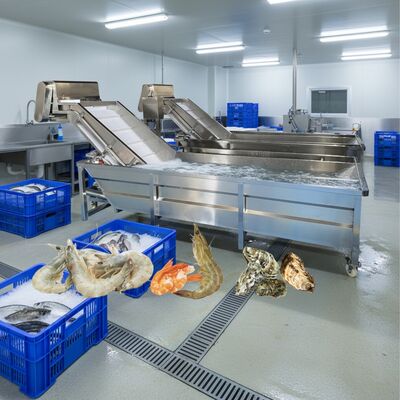 좋은 가격 해산물 2.2kw 생선 청소 기계용 Zolim 버블 세탁기 해산물 가공 공장용 스마트 새우 세탁기 온라인