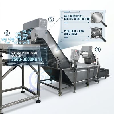 좋은 가격 중장비 새우 머리 제거 생산 라인 정밀 SUS316 1000-1500KG 11.7KW 415V 온라인
