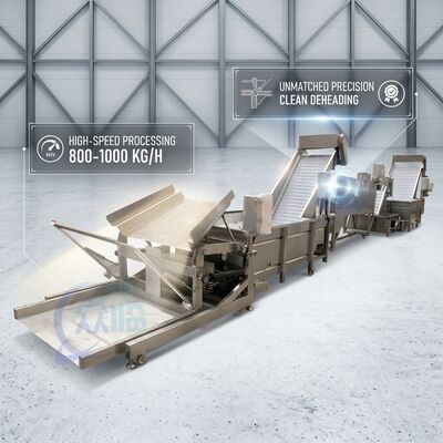 좋은 가격 SUS316 새우 머리 제거 시스템 식품 등급 SUS304 800-1000KG 3.0KW 415V 수산물 가공 공장용 온라인