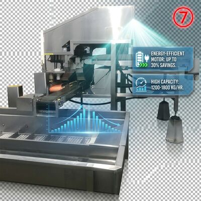 좋은 가격 380V 가동된 새우 머리 몸 분리기 경식 방지 SUS316 1000-1500KG 9.0KW 440V 온라인