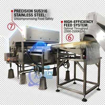 좋은 가격 Rugged Shrimp Head Separator SUS304 Stainless Steel 800-1000KG 15KW 440V For Shrimp Processing Plant 온라인