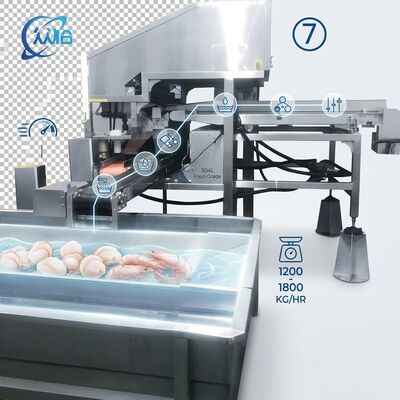 좋은 가격 고출력 새우 처리 기계 위생 SUS304 500-800KG 0.8KW 220V 해산물 수출 회사 온라인