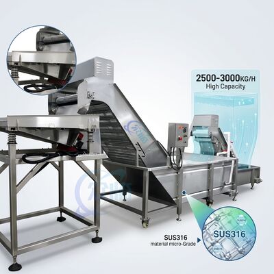 좋은 가격 다중 장면 새우 머리 제거 분류기 SUS304 스테인리스 스틸 1500-2000KG 3.0KW 380V 온라인