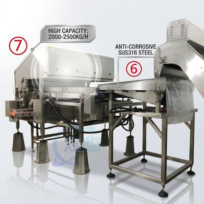 좋은 가격 효율적인 새우 머리 제거 생산 라인 정밀 SUS316 1500-2000KG 7.5KW 415V 온라인