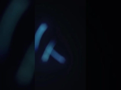 380V 해산물 오징어 청소 기계